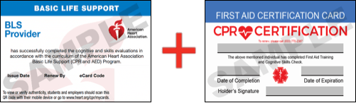 Sample American Heart Association AHA BLS CPR Card Certification and First Aid Certification Card from CPR Certification Alexandria