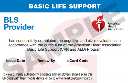 Sample American Heart Association AHA BLS CPR Card Certification from CPR Certification Alexandria