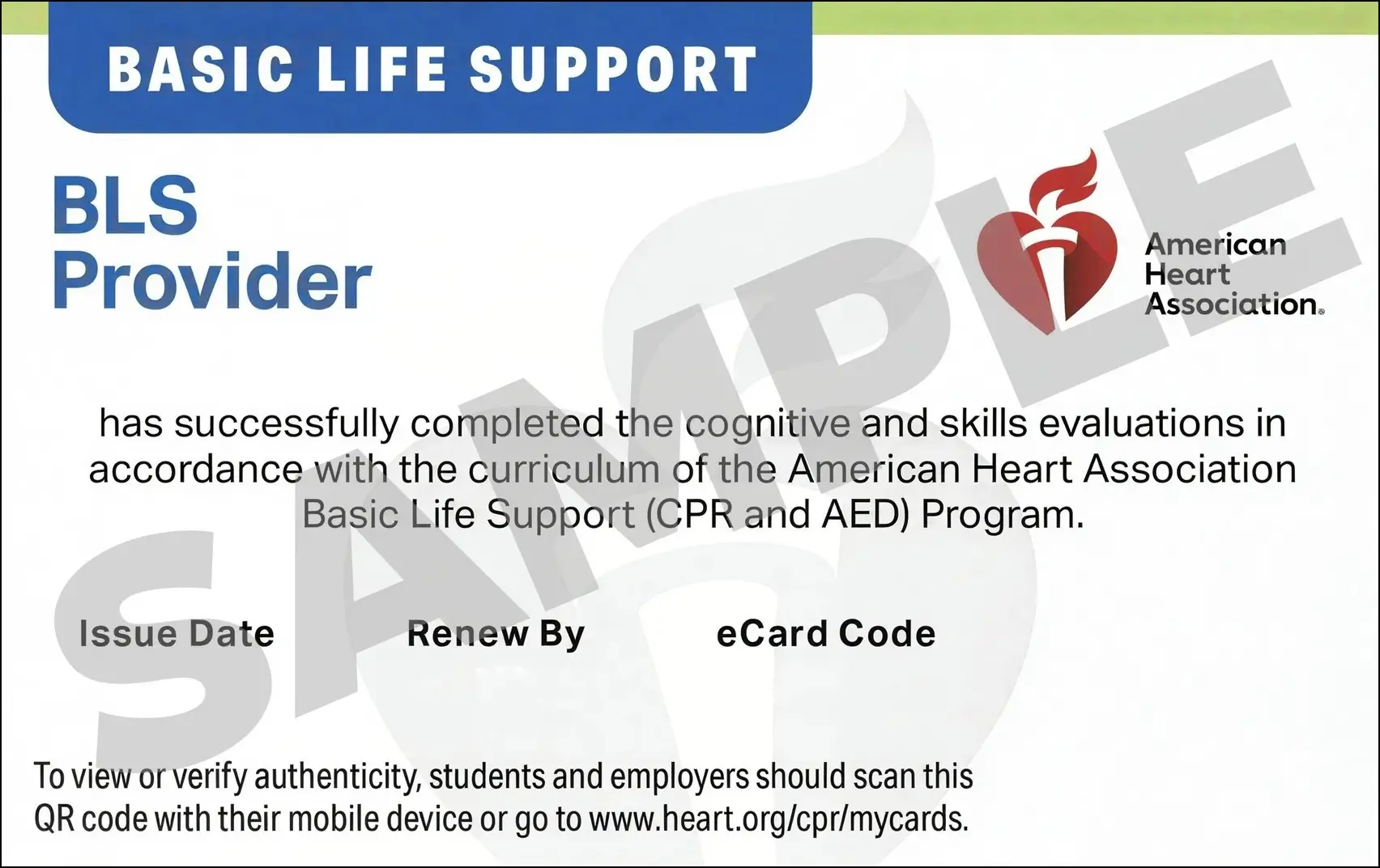 Sample American Heart Association AHA BLS CPR Card Certification from CPR Certification Alexandria